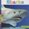 Book cover for "Sharks".