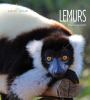 Book cover for "Lemurs".