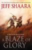 Book cover for "A blaze of glory".