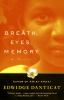 Book cover for "Breath, eyes, memory"