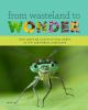 Book cover for "From wasteland to wonder".