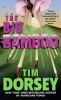 Book cover for "The big bamboo".