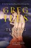 Book cover for "Turning angel".