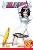 Book cover for "Bleach".
