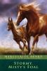 Book cover for "Stormy, Misty's foal"