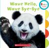 Book cover for "Wave hello, wave bye-bye".