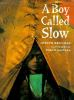 Book cover for "A boy called Slow"
