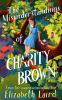 Book cover for "The misunderstandings of Charity Brown"