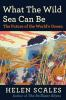 Book cover for "What the wild sea can be".