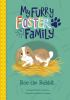 Book cover for "Roo the rabbit".