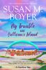 Book cover for "Big trouble on Sullivan's Island"