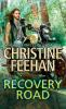 Book cover for "Recovery road".