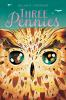 Book cover for "Three pennies"