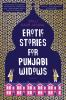 Book cover for "Erotic stories for Punjabi widows"