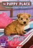 Book cover for "Bitsy".