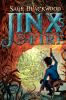 Book cover for "Jinx's fire"