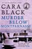 Book cover for "Murder below Montparnasse".