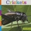 Book cover for "Crickets".