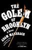 Book cover for "The golem of Brooklyn"