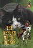 Book cover for "The return of the Indian".