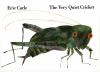 Book cover for "The very quiet cricket"