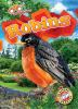 Book cover for "Robins".