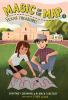 Book cover for "Texas treasure".