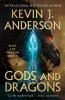 Book cover for "Gods and dragons".