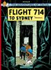 Book cover for "Flight 714".