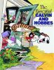 Book cover for "The essential Calvin and Hobbes"