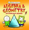 Book cover for "Algebra & geometry".