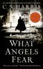 Book cover for "What angels fear".