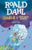 Book cover for "Charlie and the great glass elevator"
