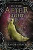 Book cover for "In the afterlight".