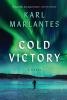 Book cover for "Cold victory"