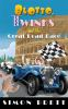 Book cover for "Blotto, Twinks and the great road race".