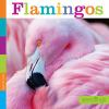 Book cover for "Flamingos".