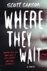 Book cover for "Where they wait"