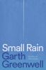 Book cover for "Small rain"