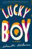Book cover for "Lucky boy"