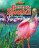 Book cover for "Roseate spoonbill".