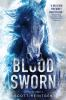 Book cover for "Bloodsworn".