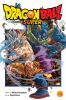Book cover for "Dragon Ball Super, Vol. 15".
