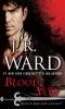 Book cover for "Blood vow".