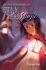 Book cover for "Stolen magic"