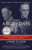 Book cover for "Those angry days"