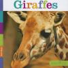 Book cover for "Giraffes".