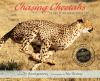 Book cover for "Chasing cheetahs".