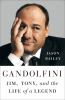 Book cover for "Gandolfini"