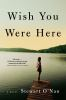 Book cover for "Wish you were here"